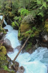 IMG_2977.jpg IMG_2977.jpg