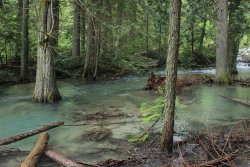 IMG_2981.jpg IMG_2981.jpg