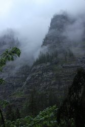 IMG_2993.jpg IMG_2993.jpg