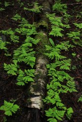 IMG_2998.jpg IMG_2998.jpg