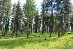 IMG_3038.jpg IMG_3038.jpg