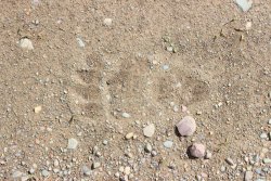 IMG_3046.jpg IMG_3046.jpg