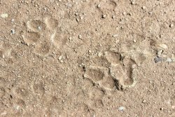 IMG_3047.jpg IMG_3047.jpg