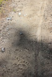 IMG_3048.jpg IMG_3048.jpg