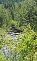 IMG_3058.jpg IMG_3058.jpg