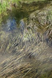 IMG_3059.jpg IMG_3059.jpg