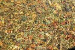 IMG_3063.jpg IMG_3063.jpg