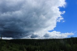 IMG_3073.jpg IMG_3073.jpg