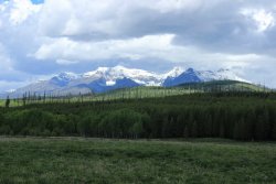 IMG_3102.jpg IMG_3102.jpg