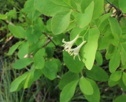 IMG_3114.jpg IMG_3114.jpg