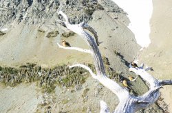 IMG_3126.jpg IMG_3126.jpg