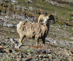 IMG_3138.jpg IMG_3138.jpg