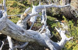 IMG_3147.jpg IMG_3147.jpg