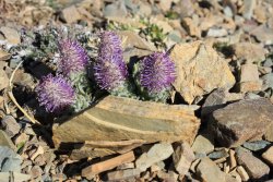 IMG_3165.jpg IMG_3165.jpg