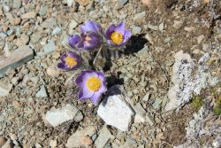 IMG_3166.jpg IMG_3166.jpg