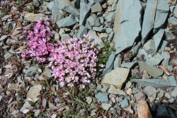 IMG_3191.jpg IMG_3191.jpg