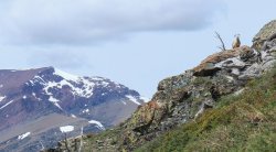 IMG_3208.jpg IMG_3208.jpg