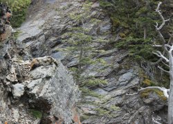 IMG_3215.jpg IMG_3215.jpg