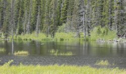 IMG_3219.jpg IMG_3219.jpg