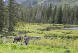 IMG_3222.jpg IMG_3222.jpg