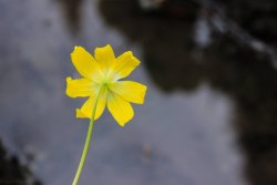 IMG_3232.jpg IMG_3232.jpg