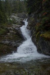 IMG_3225.jpg IMG_3225.jpg