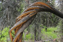 IMG_3234.jpg IMG_3234.jpg