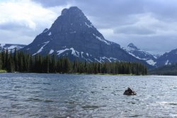 IMG_3248.jpg IMG_3248.jpg