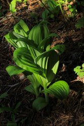 IMG_3253.jpg IMG_3253.jpg