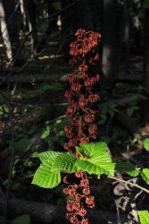 IMG_3254.jpg IMG_3254.jpg