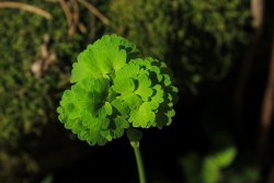 IMG_3256.jpg IMG_3256.jpg