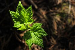 IMG_3261.jpg IMG_3261.jpg