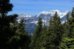 IMG_3267.jpg IMG_3267.jpg