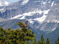 IMG_3273 P1020122.jpg IMG_3273 P1020122.jpg