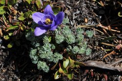 IMG_3274.jpg IMG_3274.jpg