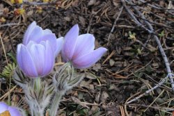 IMG_3280.jpg IMG_3280.jpg