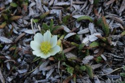 IMG_3285.jpg IMG_3285.jpg