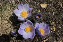 IMG_3306.jpg IMG_3306.jpg