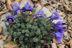 IMG_3308.jpg IMG_3308.jpg