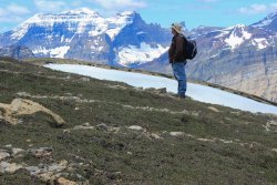 IMG_3313.jpg IMG_3313.jpg