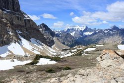 IMG_3318.jpg IMG_3318.jpg