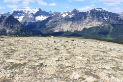 IMG_3325.jpg IMG_3325.jpg