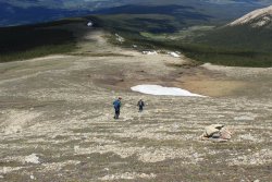 IMG_3336.jpg IMG_3336.jpg