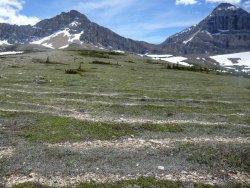 IMG_3344 P1020145.jpg IMG_3344 P1020145.jpg