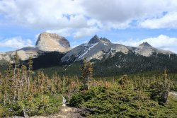 IMG_3350.jpg IMG_3350.jpg