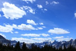 IMG_3352.jpg IMG_3352.jpg