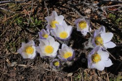 IMG_3353.jpg IMG_3353.jpg