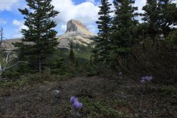 IMG_3356.jpg IMG_3356.jpg