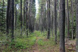 IMG_3361.jpg IMG_3361.jpg