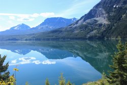 IMG_3364.jpg IMG_3364.jpg